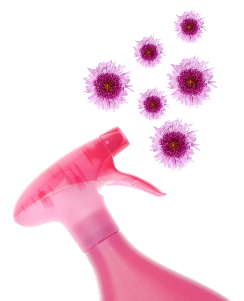 Cleaning spray flower